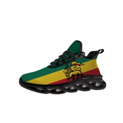 Ethiopian Flag Lion of Judah Men's Running Shoes - Rastafarian Green Yellow Red Blade Sole Sneakers